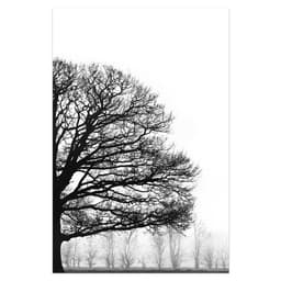 image-Black And White Winter Trees Modern Sofa Background Wall Decorative Painting