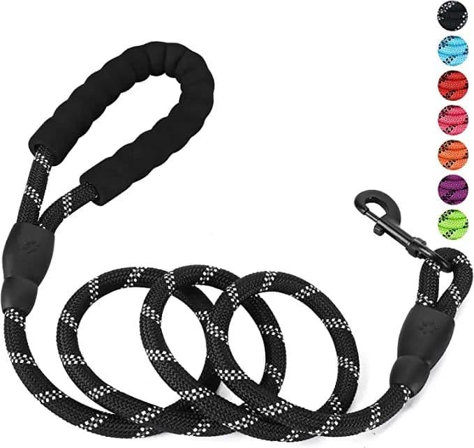 image-Strong Nylon Dog Leash Pet Leashes with Comfortable Padded Handle Reflective for Small Medium Large Dogs Leash Pull Tow Labrador