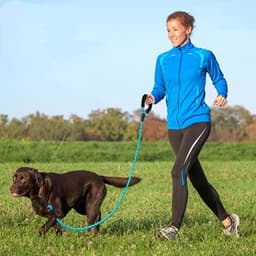 image-Strong Nylon Dog Leash Pet Leashes with Comfortable Padded Handle Reflective for Small Medium Large Dogs Leash Pull Tow Labrador