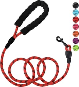 image-Strong Nylon Dog Leash Pet Leashes with Comfortable Padded Handle Reflective for Small Medium Large Dogs Leash Pull Tow Labrador
