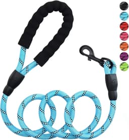 image-Strong Nylon Dog Leash Pet Leashes with Comfortable Padded Handle Reflective for Small Medium Large Dogs Leash Pull Tow Labrador