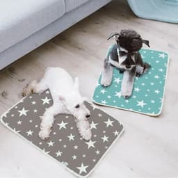 image-Dog Diaper Pet Urine Pad Reusable Waterproof Mat Cooling Summer Pad Washable Training Mattress Dog Car Seat Cover