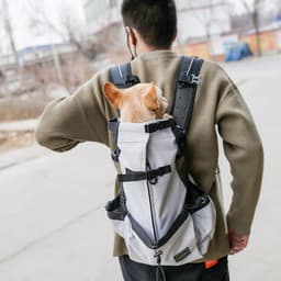 image-Outdoor Travel Large Capacity Pet Bag Outdoor Convenient Carry Breathable Cat and Dog Double Shoulder Backpacks Wholesale