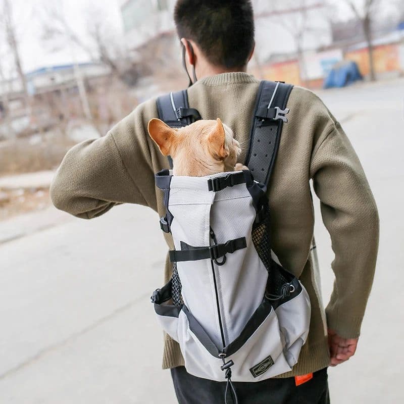 image-Outdoor Travel Large Capacity Pet Bag Outdoor Convenient Carry Breathable Cat and Dog Double Shoulder Backpacks Wholesale