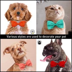 image-New Solid Colours Dog Bowtie Bulk Solid Bow Ties Collar for Cute Medium Small Dogs Cats Summer Pet Dog Bows Grooming Accessories