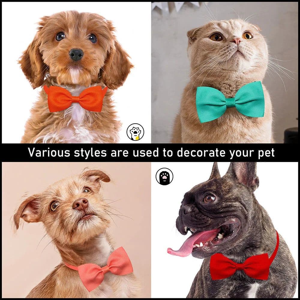 image-New Solid Colours Dog Bowtie Bulk Solid Bow Ties Collar for Cute Medium Small Dogs Cats Summer Pet Dog Bows Grooming Accessories