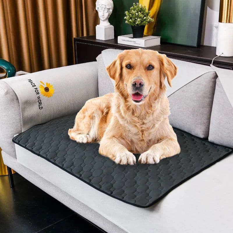 image-Waterproof Reusable Washable Dog Pet Diaper Mat Training Pad Urine Absorbent Environment Protect Diaper Mat Dog Car Seat Cover