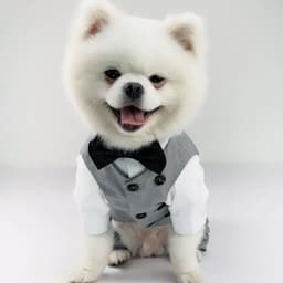 image-Dog Gentleman Wedding Suit Clothing Dog Tuxedo Suit Wedding Party Clothes For Small Dogs Formal Puppy Pet Coat Jacket Outfits