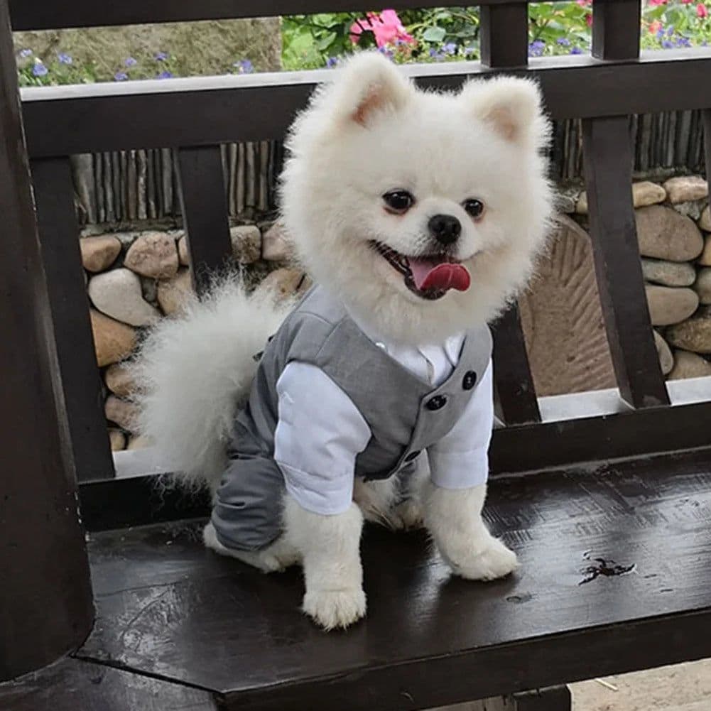 image-Dog Gentleman Wedding Suit Clothing Dog Tuxedo Suit Wedding Party Clothes For Small Dogs Formal Puppy Pet Coat Jacket Outfits
