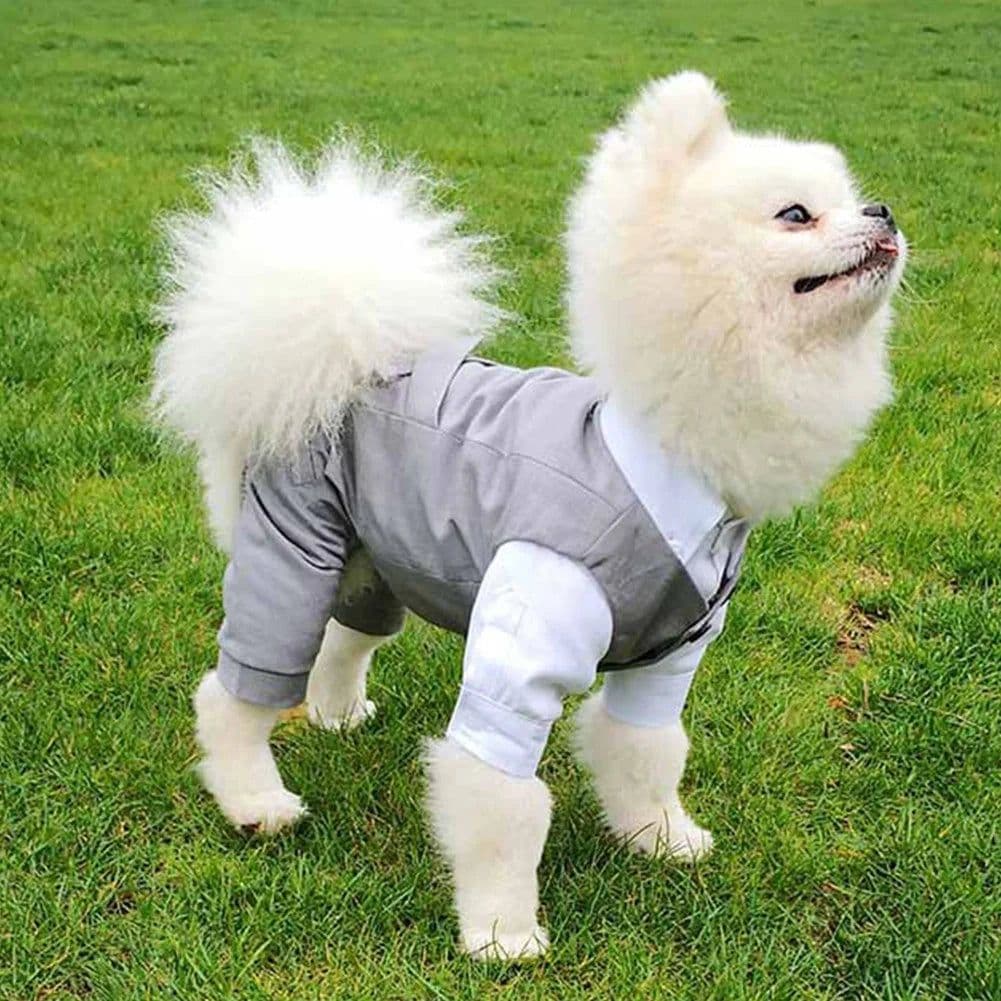image-Dog Gentleman Wedding Suit Clothing Dog Tuxedo Suit Wedding Party Clothes For Small Dogs Formal Puppy Pet Coat Jacket Outfits