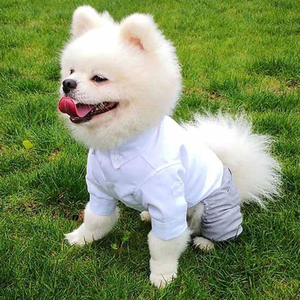 image-Dog Gentleman Wedding Suit Clothing Dog Tuxedo Suit Wedding Party Clothes For Small Dogs Formal Puppy Pet Coat Jacket Outfits