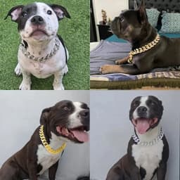 image-Plastics Dog Chain Collar Gold Luxury Diamond Studded Collar for Medium Large Dogs Pet Jewelry Necklace Accessories Cuban Chain