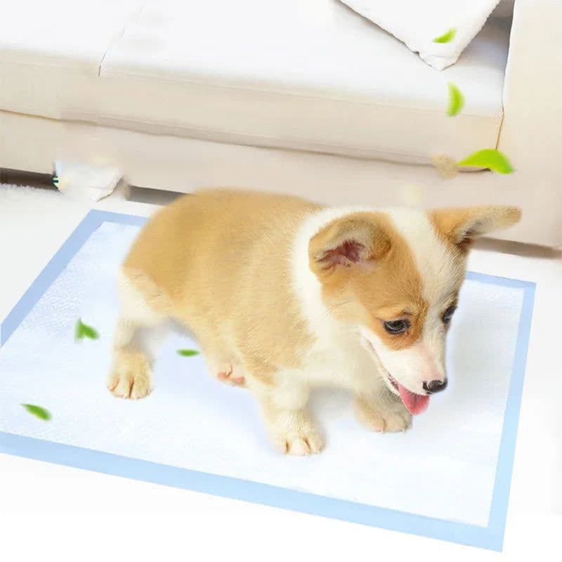 image-10pcs Disposable Dog Diapers Pads Super Absorbent Pet Diaper for Dogs Cats Puppy mascotas Products Accessories couche chien