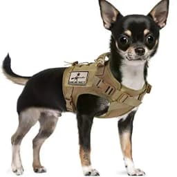 image-Chihuahua Cloth Small Dog Tactical Vest Training Harness xs Outdoor Working Adjustable Military MOLLE with Rubber Handle