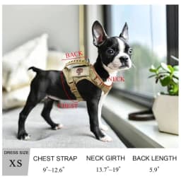 image-Chihuahua Cloth Small Dog Tactical Vest Training Harness xs Outdoor Working Adjustable Military MOLLE with Rubber Handle