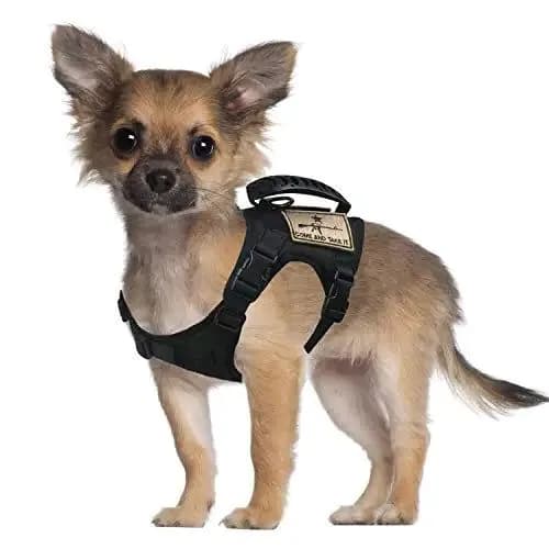 image-Chihuahua Cloth Small Dog Tactical Vest Training Harness xs Outdoor Working Adjustable Military MOLLE with Rubber Handle