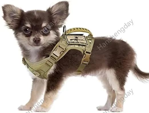 image-Chihuahua Cloth Small Dog Tactical Vest Training Harness xs Outdoor Working Adjustable Military MOLLE with Rubber Handle