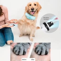 image-Rechargeable USB Charging Pet Dog Nail Grinders,Electric Clippers, Cat Paws, Nail Grooming Trimmer Tools