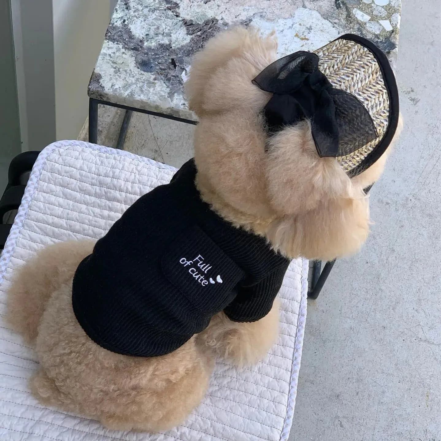 image-Summer Pet Straw Hat Cat and Dog Hat Cartoon Party Pet Headwear Lace Sun Hat