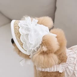image-Summer Pet Straw Hat Cat and Dog Hat Cartoon Party Pet Headwear Lace Sun Hat