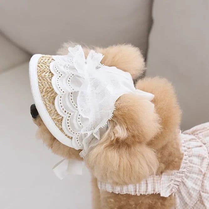 image-Summer Pet Straw Hat Cat and Dog Hat Cartoon Party Pet Headwear Lace Sun Hat