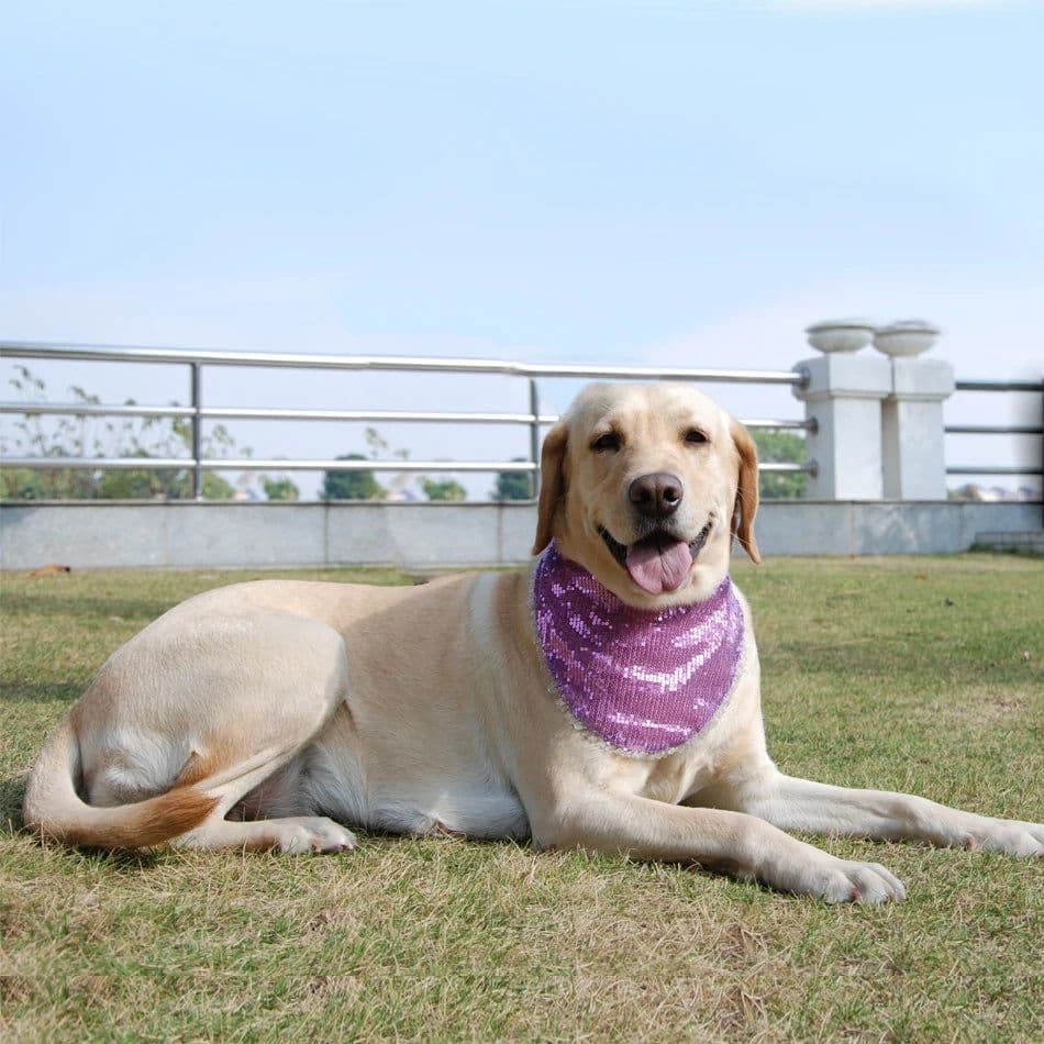 image-Dog Cat Bandana Plaid Adjustable Scarf Washable Collar for Cats Puppy Pet Accessories for Small Medium Large Dog Supplies