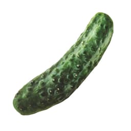 image-Bone Beef Shape Pet Dog Squeaker Toys for Dogs Chew Puppy Cat Toy Pets Accessories Interesting Zabawki Dla Psa Kedi Malzemeleri