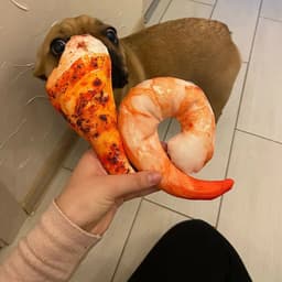 image-Bone Beef Shape Pet Dog Squeaker Toys for Dogs Chew Puppy Cat Toy Pets Accessories Interesting Zabawki Dla Psa Kedi Malzemeleri