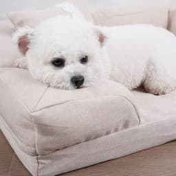 image-Dog Mat Beds for Dogs Kennel Washable Bed Pets Products Supplies Cushion Small Large Accessorys Plush Medium Sofa Pet Cats Puppy