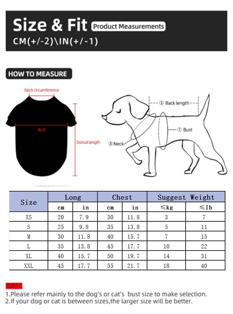 image-Spring Witer Pet Clothes Elegant Luxury Fur Winter Overcoat For Small Dog Cat Clothes Bowknot Chihuahua