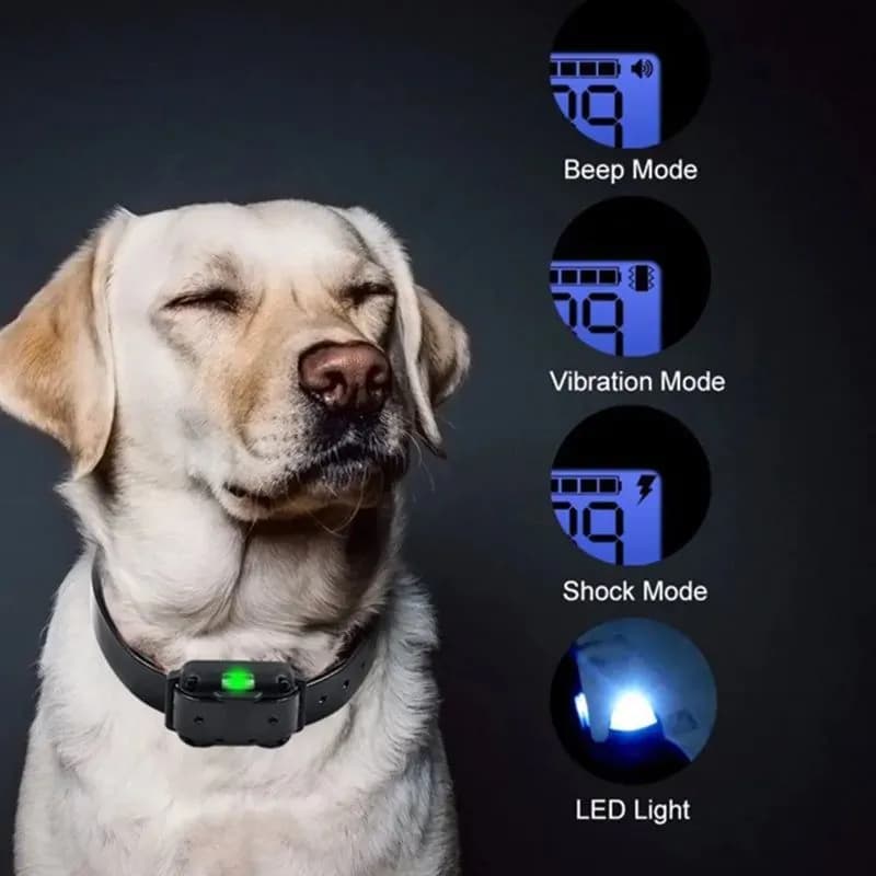 image-800m Electric Dog Training Collar Waterproof Rechargeable