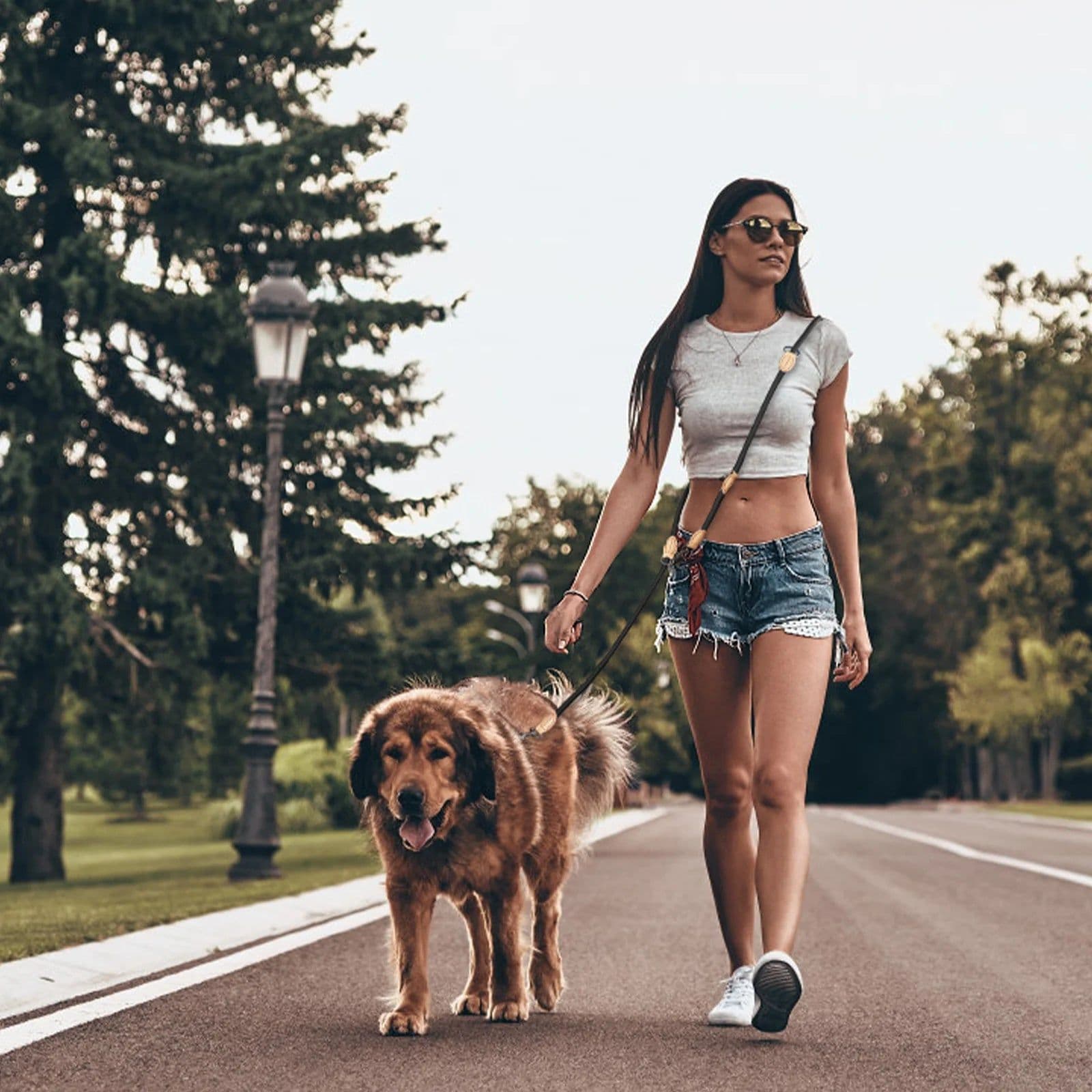 image-Multipurpose Dog Double Leash Medium Adjustable and Nylon Luxury Hands Free Small Dog Leash leashes For 2 Dogs