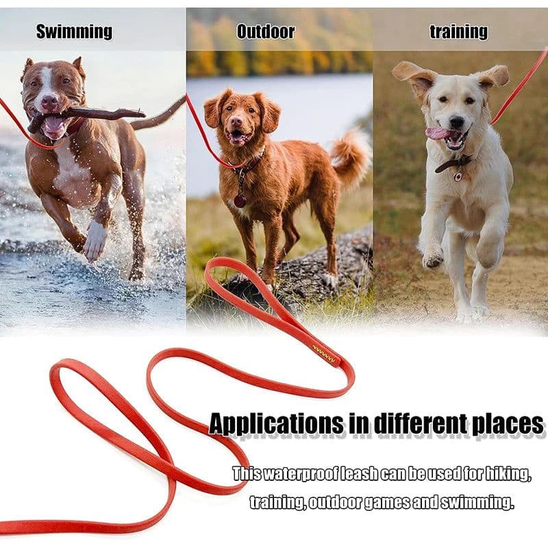 image-3M 6M 9M Dog Leash Long PVC Pet Leashes Easy To Clean Rope Waterproof Training Leash For Large Medium Small Dogs