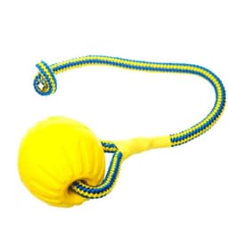 image-1pc Teeth Indestructible Bite Rubber Puppy Funny Training Ball Chew Toys Play Fetch Solid with Carrier Rope Pet Dog Toy