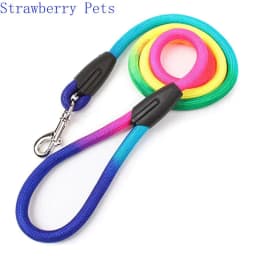 image-Durable Nylon Rainbow 1.2M Pet Dog Leash Walking Training Leash Cats Dogs Harness Collar Leashes Strap Belt Rope