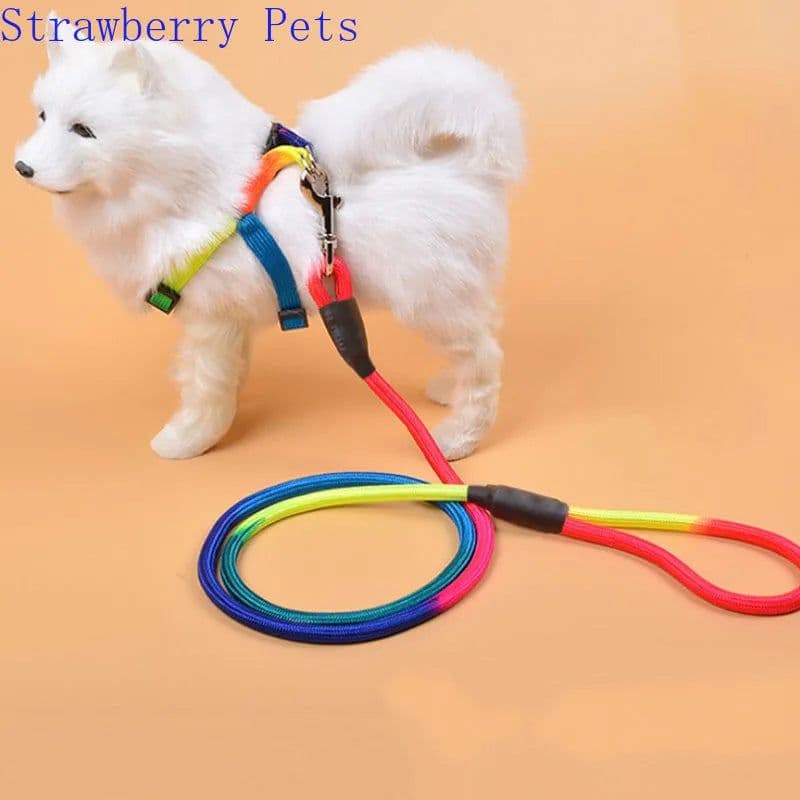 image-Durable Nylon Rainbow 1.2M Pet Dog Leash Walking Training Leash Cats Dogs Harness Collar Leashes Strap Belt Rope