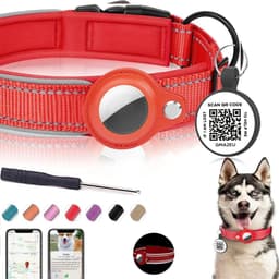 image-New 2-in-1 Dog Collar With Airtag Holder and Smart Tags for Anti-lost Protective GPS Trackers Airtag Case Suit Pets Dogs Cat
