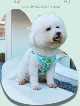 image-CDDMPET Dog Harness and Leash Set for Small Dogs Cartoon Puppy Harness Vest French Bulldog Walking Chest Strap Pet Accessories