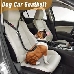 image-3in1 Dog Seat Belts Retractable Dog Car Seatbelt Reflective Elastic Nylon Pet Seat Belt for Vehicle Headrest Adjustable for Dogs