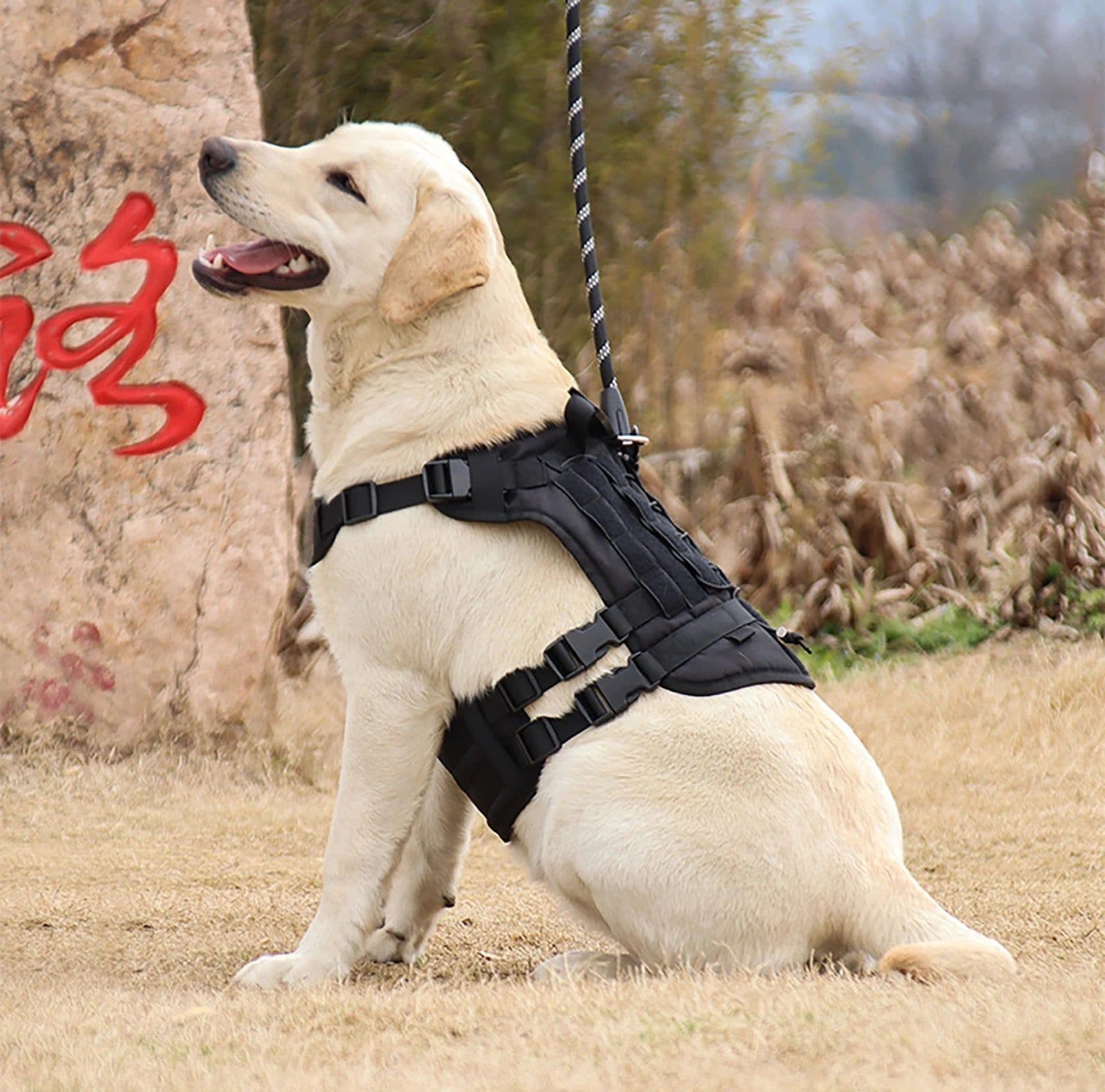 image-Medium Big Dog Harness Multifunction Tactical Dogs Vest More Solid Waterproof Oxford Cloth Dogs Harness Dog Accessoires Supplies