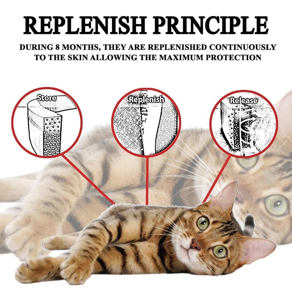image-Flea And Tick Collar Silicone Adjustable Dogs Cats Collar 8 Month Protection Anti-mosquitoes Insect Repellent Pet Supplies