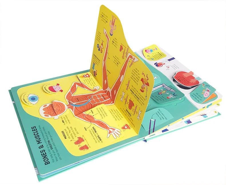 image-Lift-the-Flap How Your Body Works Education English Picture Book Extracurricular Reading Science Knowledge Learning Toys