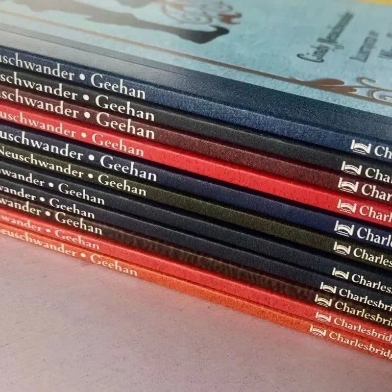 image-11 Books Sir Cumference Math Adventure Children's Extracurricular Reading Picture Book in English