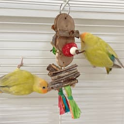 image-Parrot Bird Bite Toy String Relieving Stuffy Decorative Color Pendant