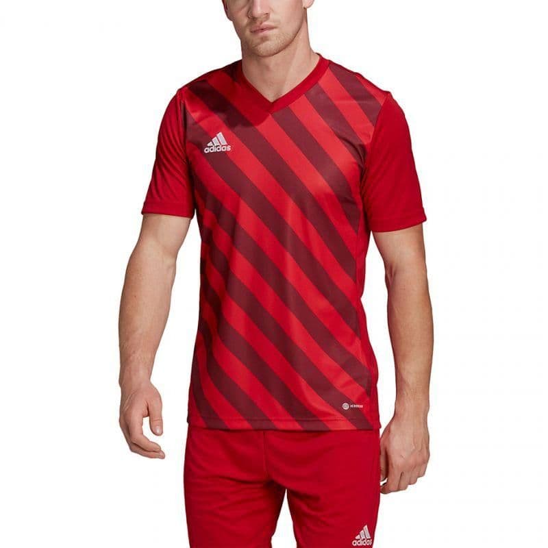 image-Adidas Entrada 22 Graphic Jersey M HB0572