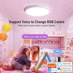 image-24W 40W Zigbee Smart Ceiling Led Lights RGB CW Tuya APP Control Ceiling Lamp For Living Room Bedroom Home Decor Works With Alexa