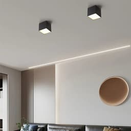 image-Creative Led Ceiling Lights White Black Acrylic Lamps For Bedroom Living Dining Room Aisle Indoor Daily Lightings Home Fixtures