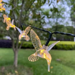 image-Solar Hummingbird String Lights Outdoor Fairy Lights with 8 Modes Waterproof Solar Powered for Patio Yard Christmas Decor 691