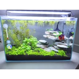 image-Aquarium LED Light Super Slim Fish Tank Aquatic Plant Grow Lighting Waterproof Bright Clip Lamp Blue LED 18-72cm for Plants 220v