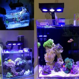 image-Spectra Nano 029 Aquarium Light 30W Saltwater Lighting with Touch Control for Coral Reef Fish Tank